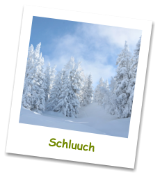 Schluuch